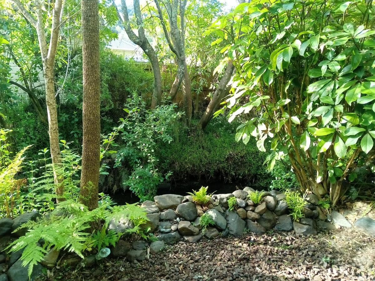 La Rochelle Motel Akaroa Ngoại thất bức ảnh