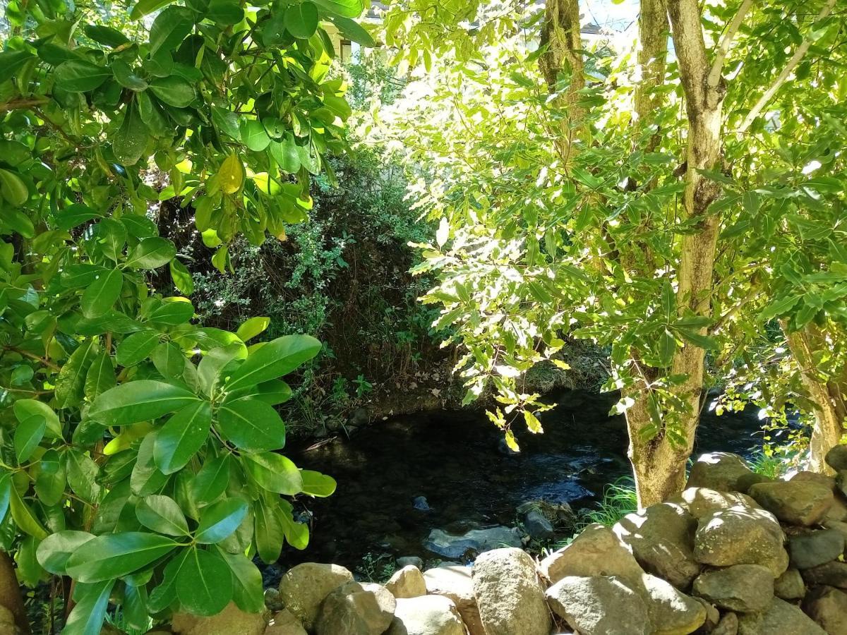 La Rochelle Motel Akaroa Ngoại thất bức ảnh
