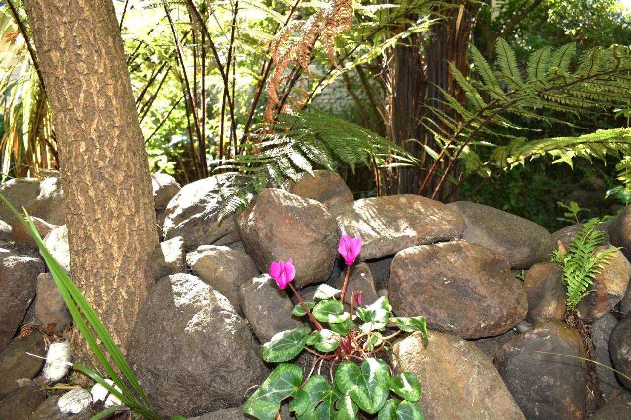 La Rochelle Motel Akaroa Ngoại thất bức ảnh